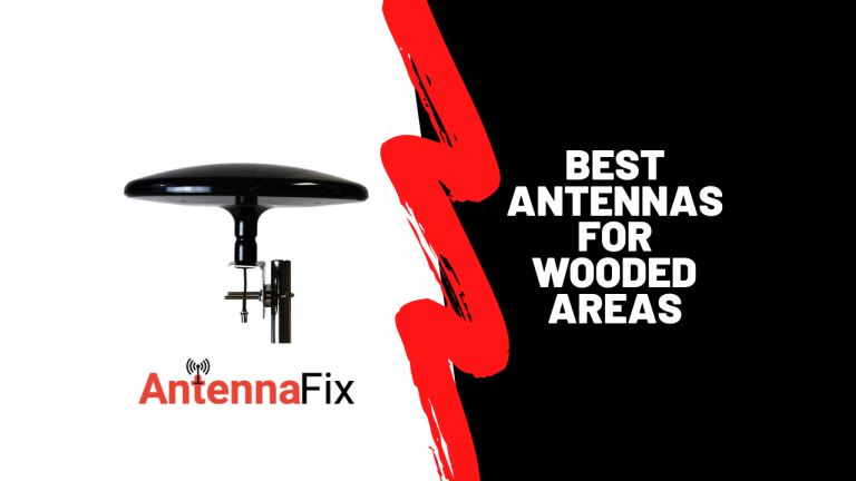 Best Antennas for Wooded Areas